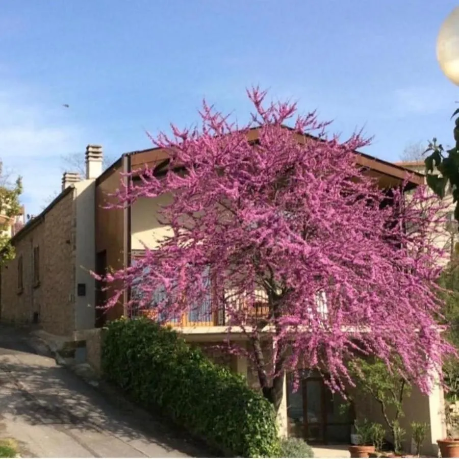 Apartament Il Tramonto Roccatederighi 0*,